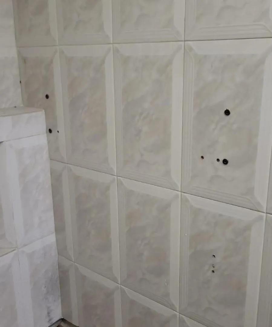 Stary Birch Apartment Gdansk